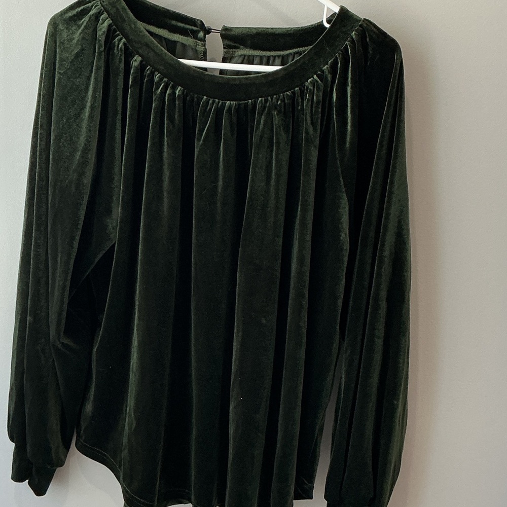 Source Unknown Dark Green Velvet Blouse